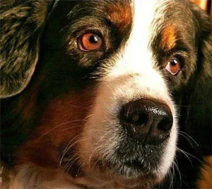 Тест 2 характеристики Тест 2 характеристики