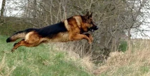 Тест 3 характеристики Тест 3 характеристики